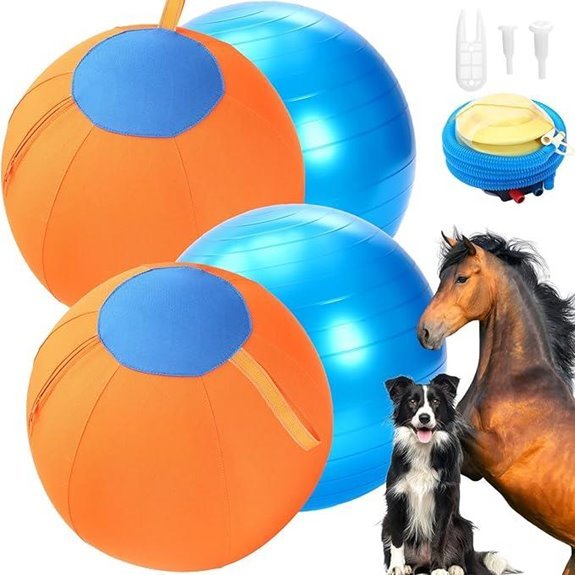 2‑Set 17” Dog Herding Balls with Oxford Cloth Cover (Orange)