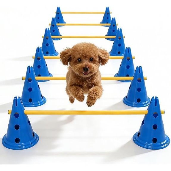 Dog Agility Hurdle Cone Set – Adjustable 12‑Inch Course