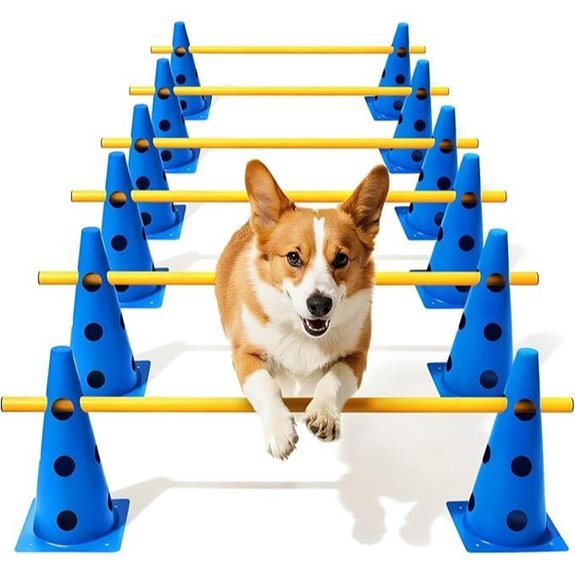Dog Agility Course Backyard Set – Adjustable Hurdle Cone
