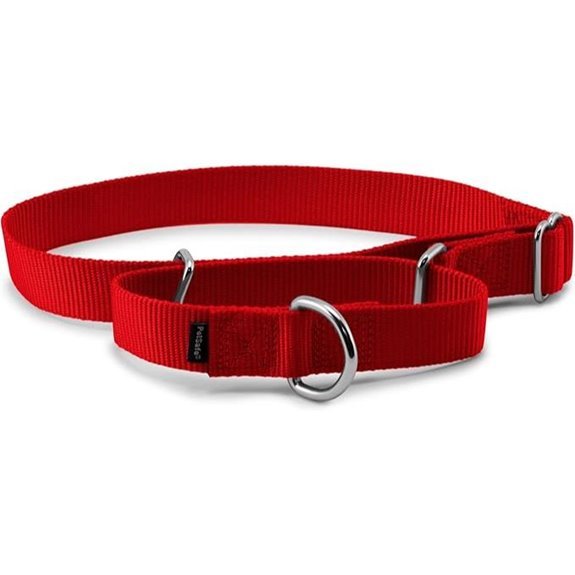 PetSafe Adjustable Martingale Collar - Large Red (1)