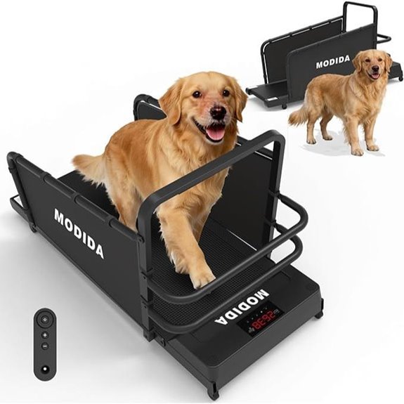 Dog Treadmill Adjustable Speed LED Remote Control