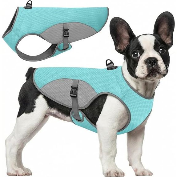 Dog Cooling Jacket for Large Dogs – Blue Mesh & D‑Ring