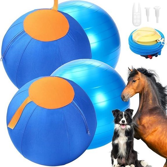 2‑Set 17‑Inch Dog Herding Ball with Oxford Cover (Blue)