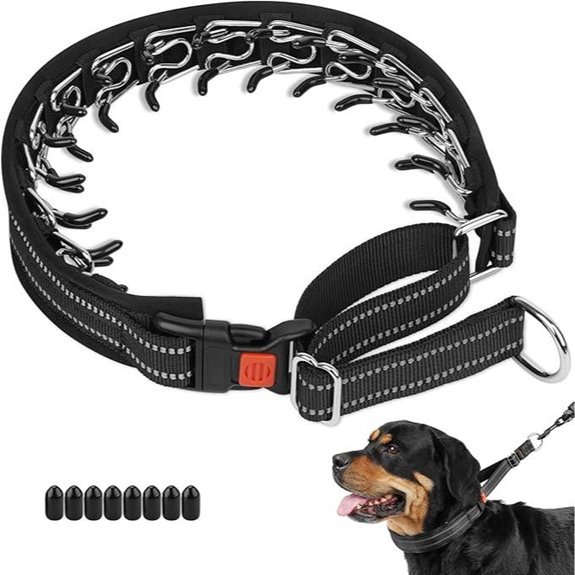 Crazy Felix No Pull Martingale Dog Collar (M/L)