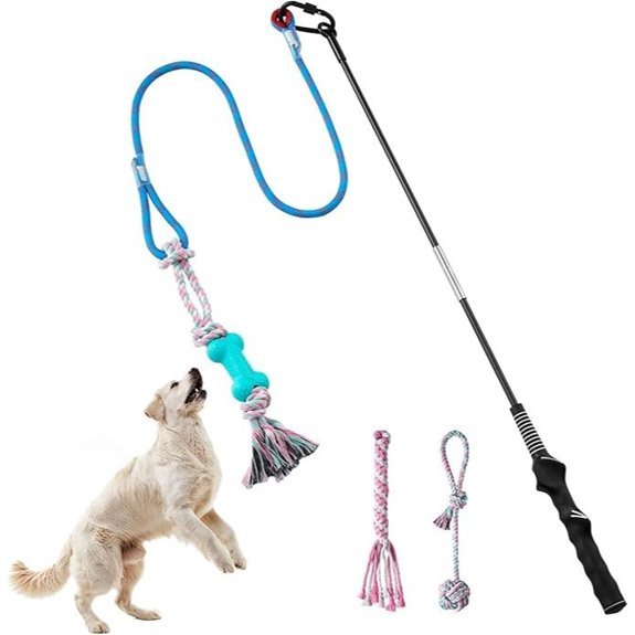 Aitmexcn Interactive Flirt Pole for Dogs
