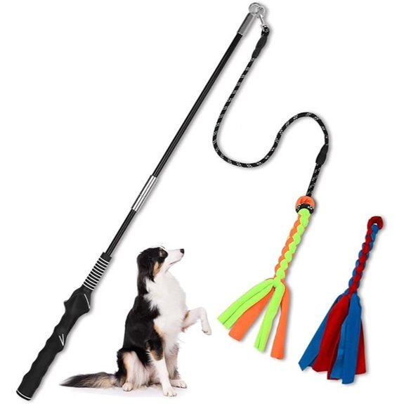Flirt Pole for Dogs – Interactive Teaser Wand