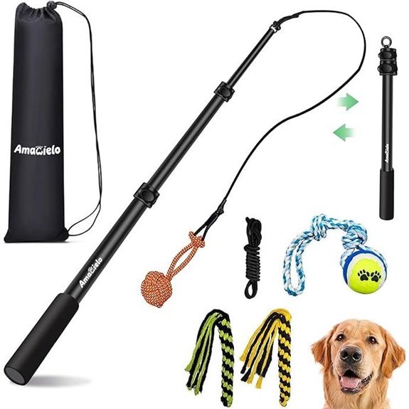 Flirt Pole for Dogs – Durable Interactive Tug Toy