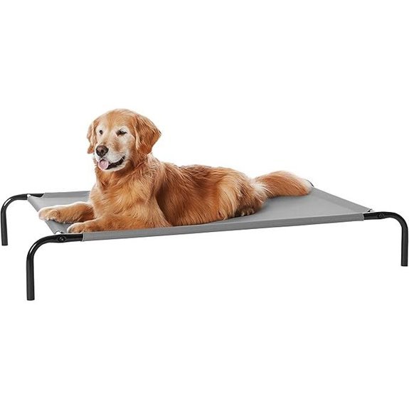 Amazon Basics Elevated Dog Bed – Large Grey Metal Frame