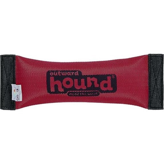 Outward Hound Firehose Fetch Dog Toy Large