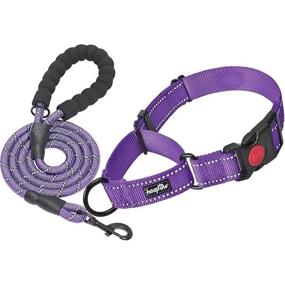 Haapaw Martingale Dog Collar with Quick Release