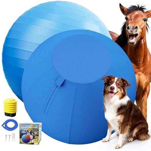 Happypaw 18 Herding Ball for Dogs