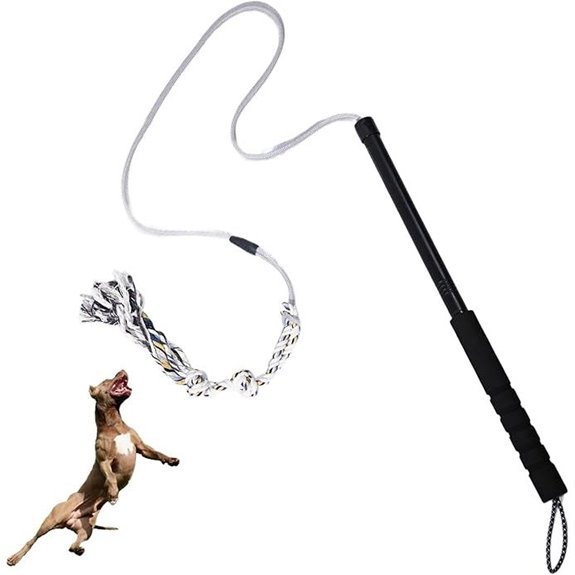 Flirt Pole for Dogs – Heavy Duty Training Toy