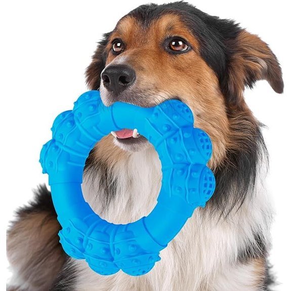 Indestructible Chew Ring Toy for Aggressive Chewers