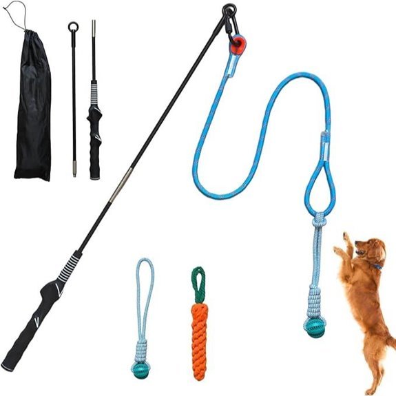 Flirt Pole Dog Toy with Tether Tug and Chew Ball