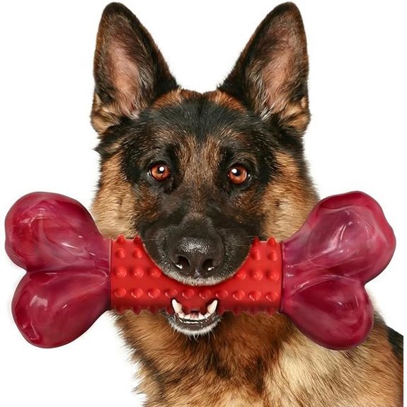 Apasiri Tough Beef-Flavored Dog Chew Bones for Large Dogs