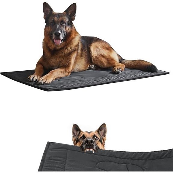 Chew Proof Dog Crate Pad for Large Dogs (28x41)