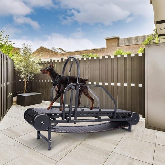 Non‑Motorized Dog Treadmill for Large Dogs Wide Running Slat Hand