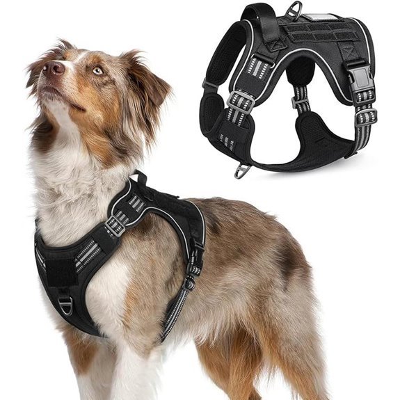 Rabbitgoo Tactical Dog Harness Medium Size Black