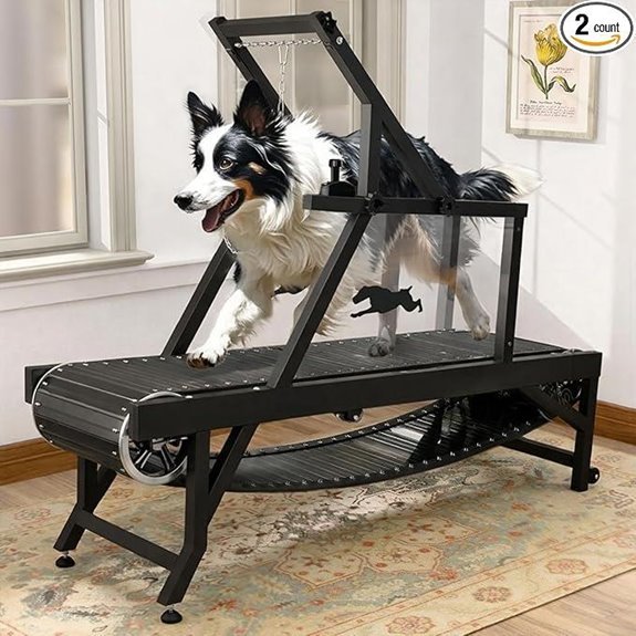 Dog Treadmill for Medium Dogs with Brake and Track