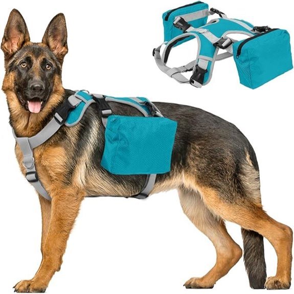 Dora Dog Backpack for Medium & Large Dogs (Blue)
