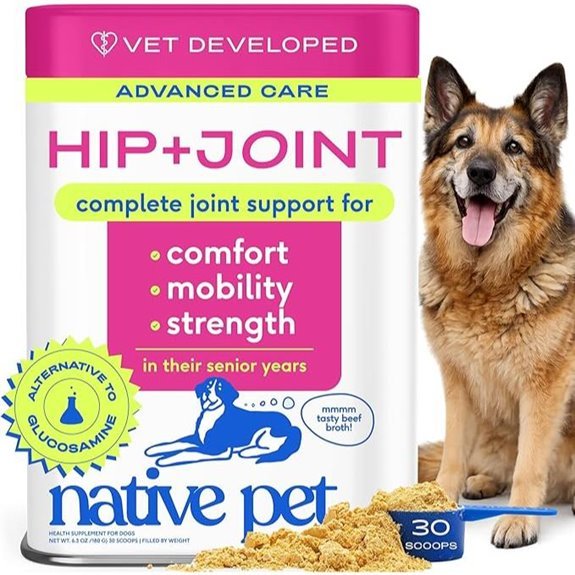 Native Pet Joint Care Powder for Dogs (30 Scoops)