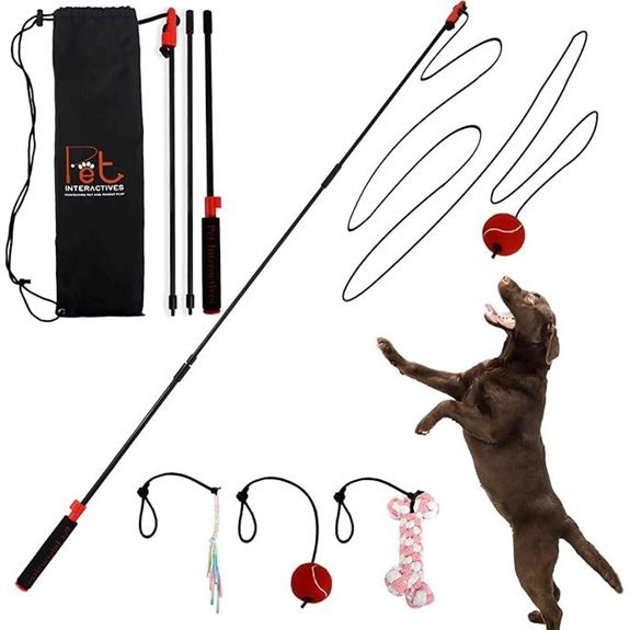 PET Wrangler 2.0 Upgraded Flirt Pole for Dogs