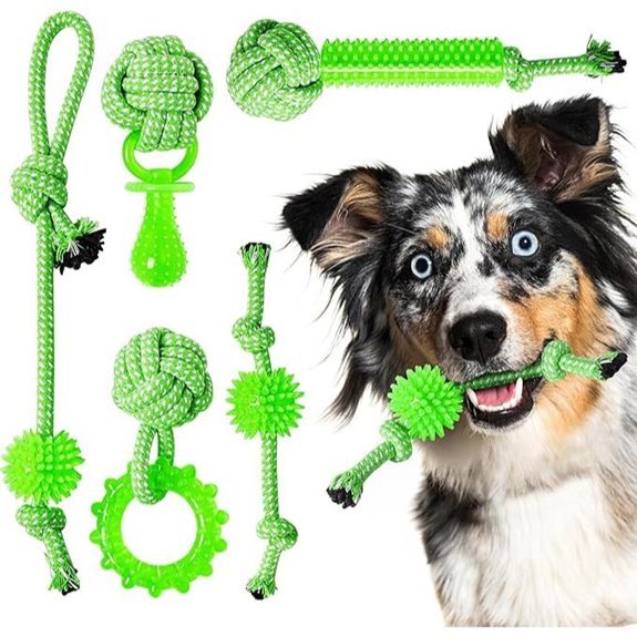 Puppy Teething & Chew Toys 5 Pack