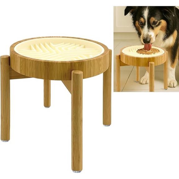 Raised Slow Feeder Licking Mat with Stand (10)