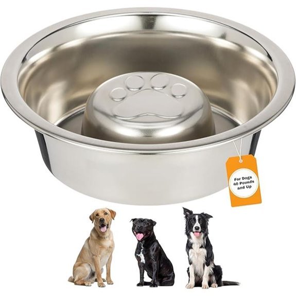 Neater Pet Stainless Steel Slow Feed Dog Bowl (3‑Cup)