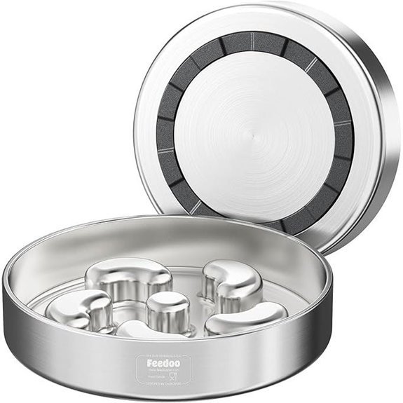 Slow Feeder Dog Bowl – 2 Cups Double‑Wall Non‑Slip Base