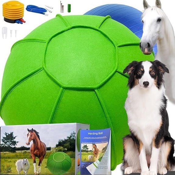 Dual Layered Herding Dog Ball Set (25) with Training Book
