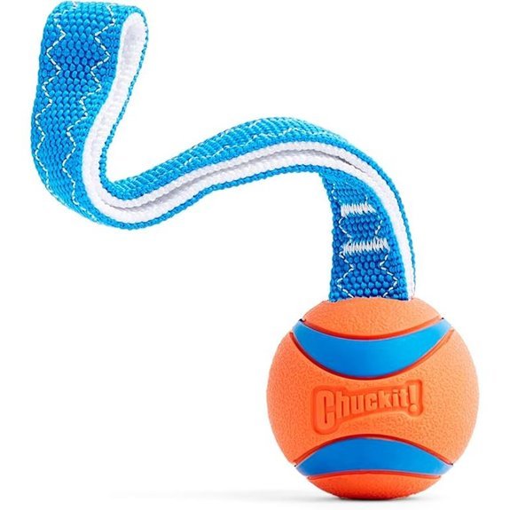 Chuckit! Ultra Tug Dog Toy Medium (20‑60 lb)